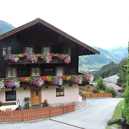 Haslinggut Apartment Bad Hofgastein Ngoại thất bức ảnh